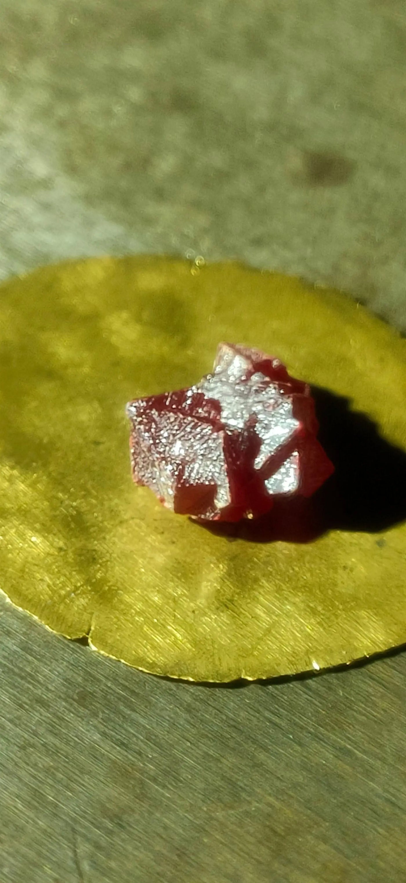 BLOOD-FIRE CAGED GOLD My Store