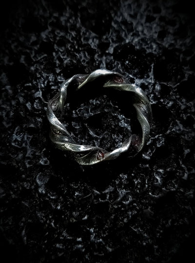 IMAGINARY-TIME MOBIUS SANCTUM: Causality Collapse Band My Store