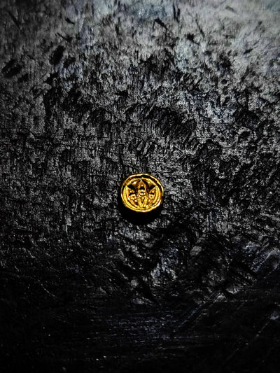 Gold-Marked Meteorite Ring My Store