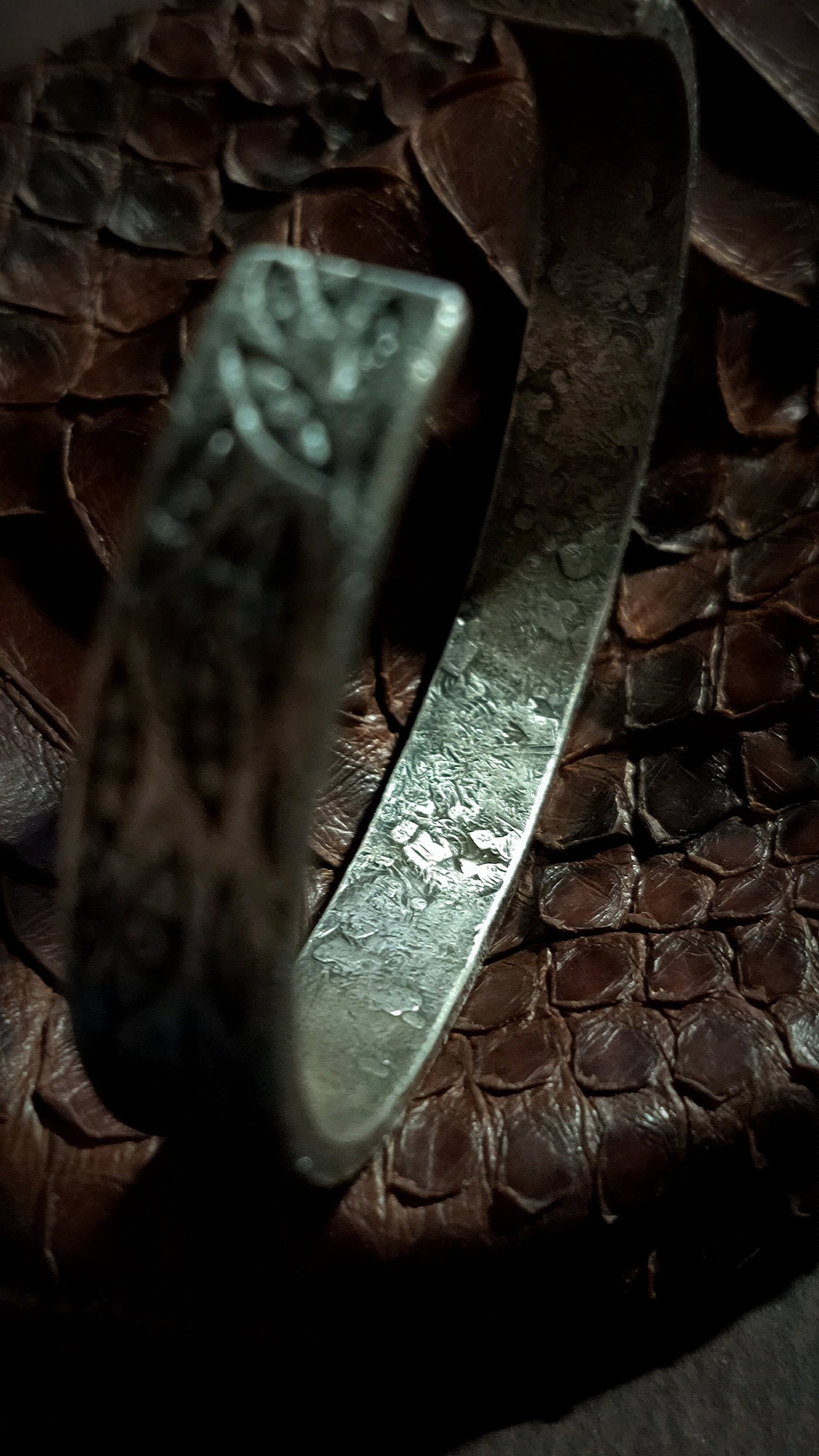 Primordial Oculus Warband: Forged in Creation's Crucible My Store