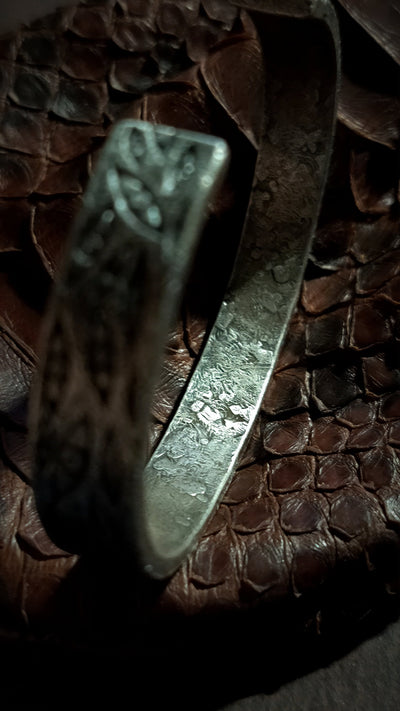 Primordial Oculus Warband: Forged in Creation's Crucible My Store