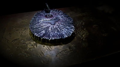 Nocturne Raven Salver My Store